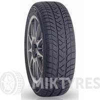 Dmack Winter Safe 205/55 R16 91H