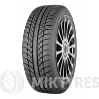 GT Radial Champiro Winter Pro 165/70 R13 79T